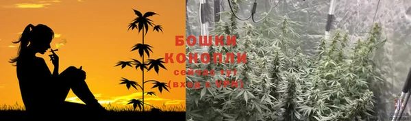 амф Сосновка
