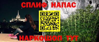 ГАЛЛЮЦИНОГЕННЫЕ ГРИБЫ Малгобек