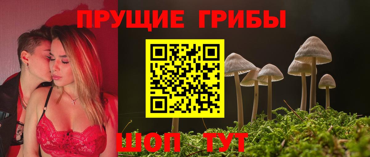Галлюциногенные грибы Cubensis Вязники