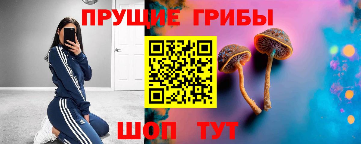Вязники  Псилоцибиновые грибы Psilocybe  Псилоцибиновые грибы Cubensis  Вход с VPN 